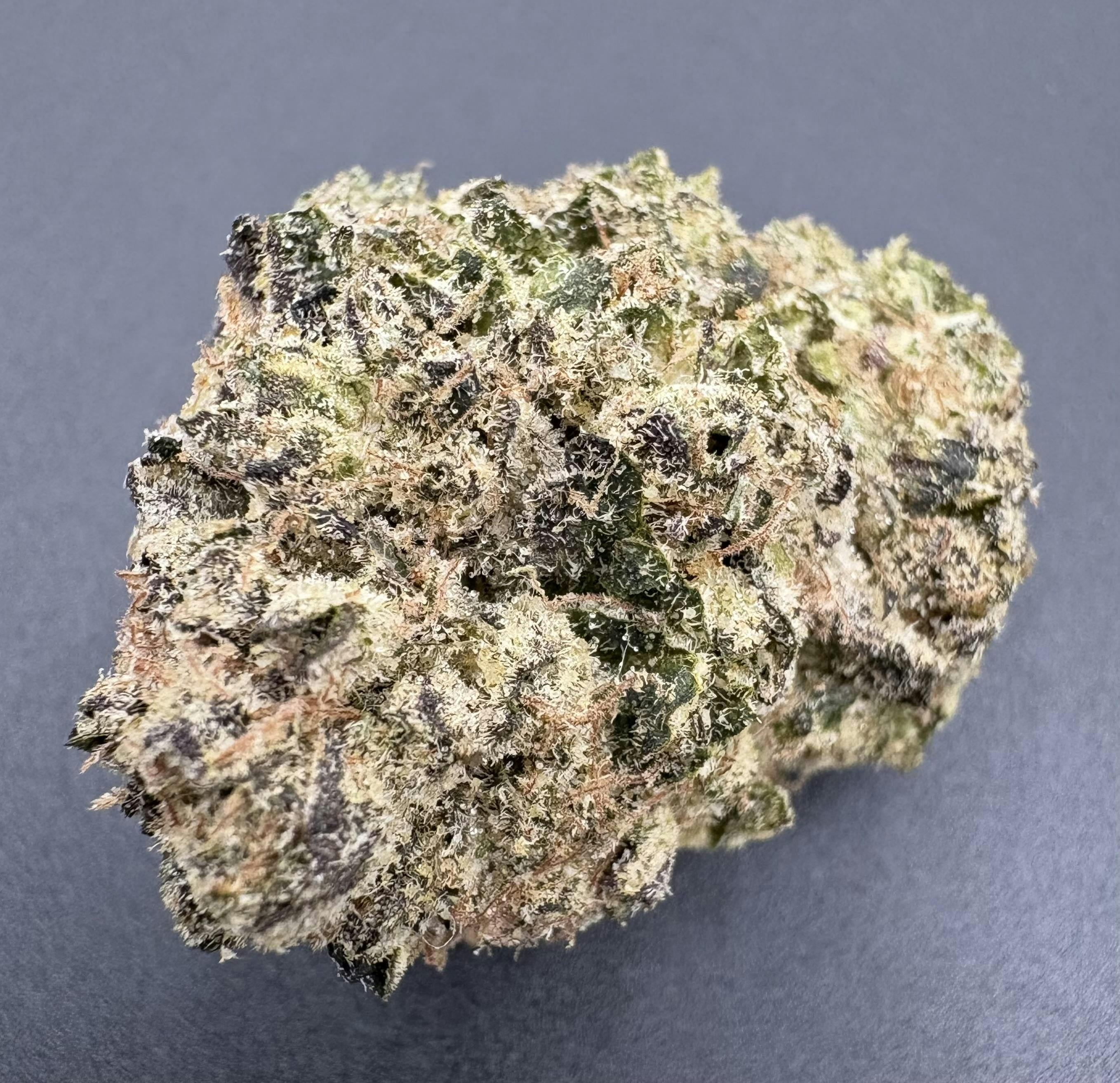 Hoodview Cannabis - UpCountry | Gelato X Dosidos Flower - 1
