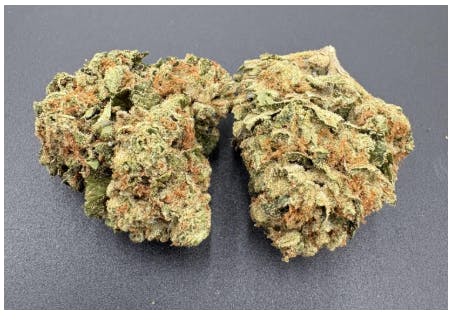 Hoodview Cannabis - Bliss Cultivation | Pink Gas Flower - 1