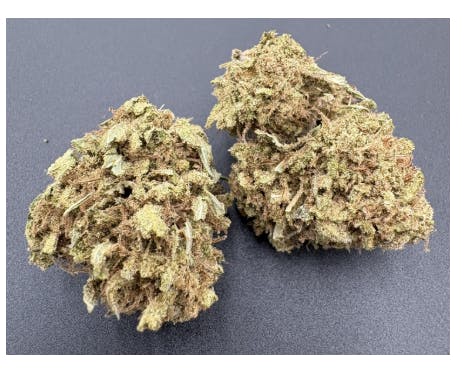 Hoodview Cannabis - Bliss Cultivation | Blueberry Banana Flower - 1