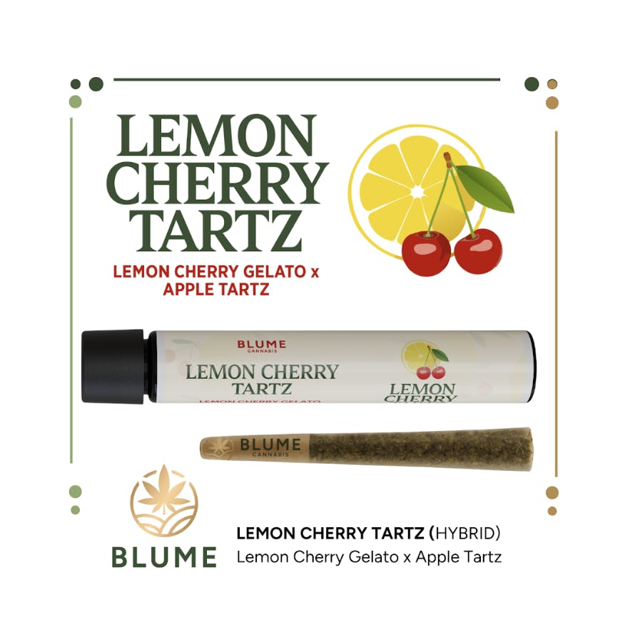 BLUME - BLUME | Lemon Cherry Tartz | Joint | 1g - 1