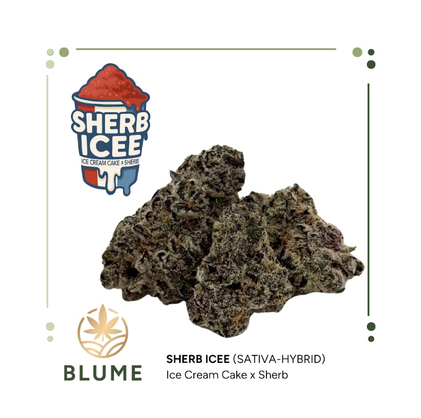 BLUME - BLUME | Sherb Icee | Big Buds | 3.5g - 1