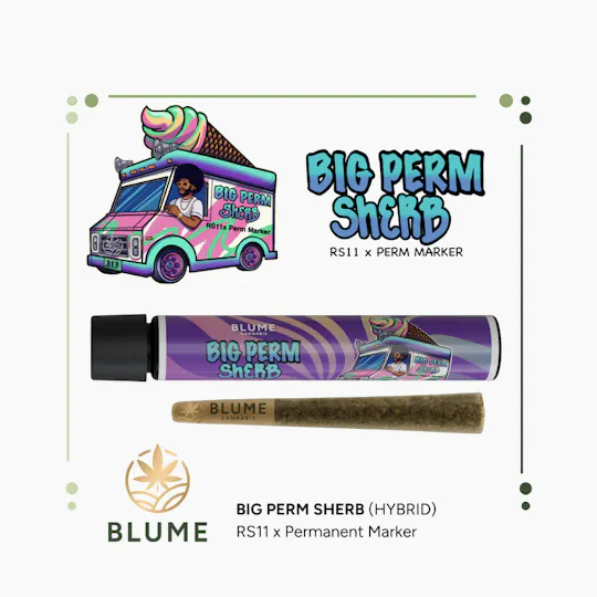 BLUME - BLUME | Big Perm Sherb | Joint | 1g - 1