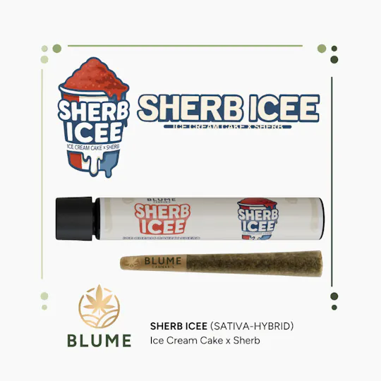 BLUME - BLUME | Sherb Icee | Joint | 1g - 1