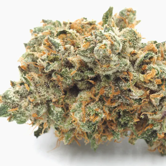 Inadaze - Inadaze | Sugar Rancher Premium 1/8 - 1