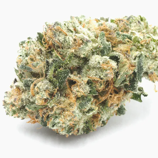 Inadaze - Inadaze | Gelato Runtz Premium 1/8 - 1