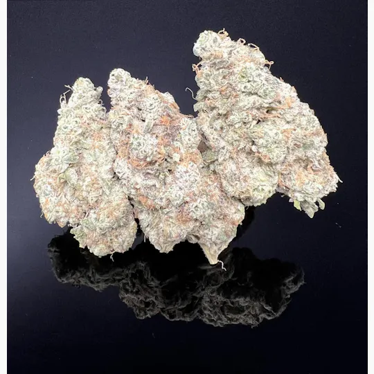 Platinum Farms - Flower - Daily Grape (31.68%) - 3.5g (I) - 1