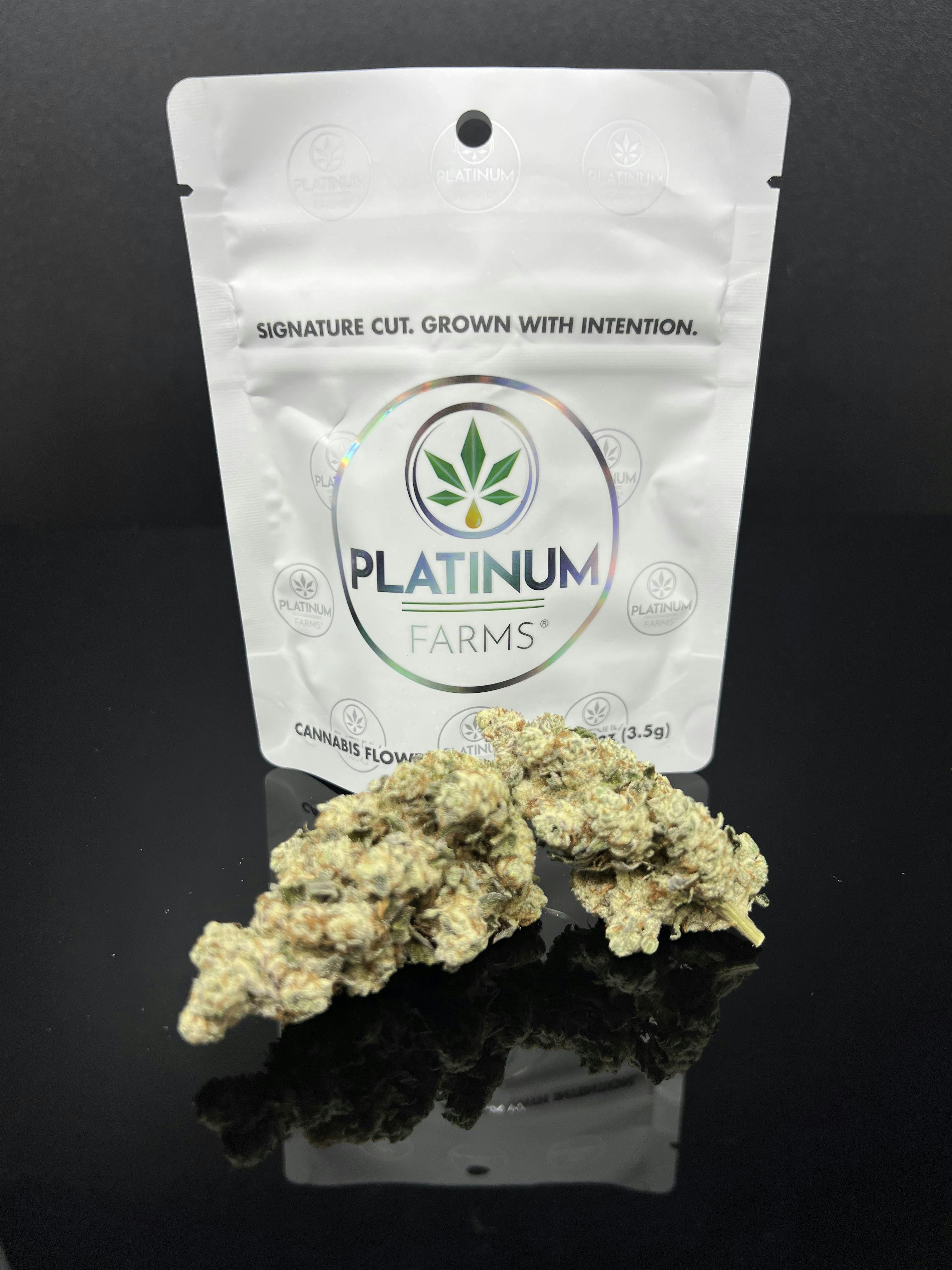 Platinum Farms - Flower - Gastronaut (28.58%) - 7g (I) - 1