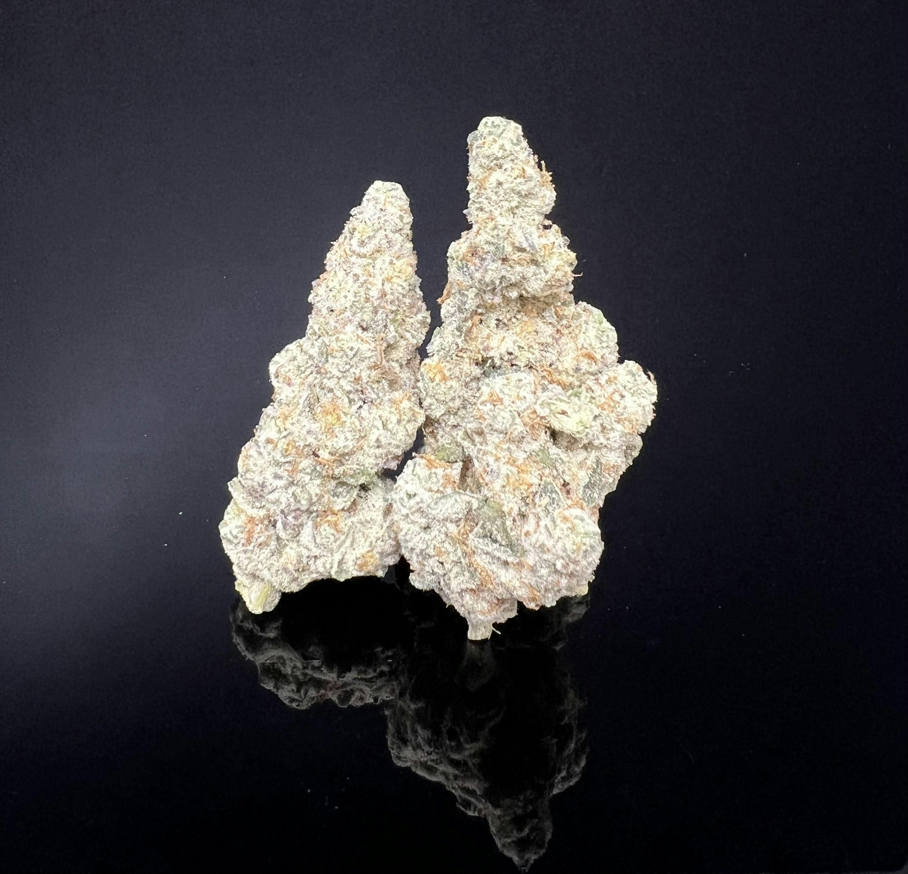Platinum Farms - Flower - Cap Junky (31.71%) - 3.5g (H) - 1