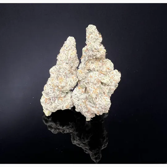 Platinum Farms - Flower - Cap Junky (31.71%) - 3.5g (H) - 1