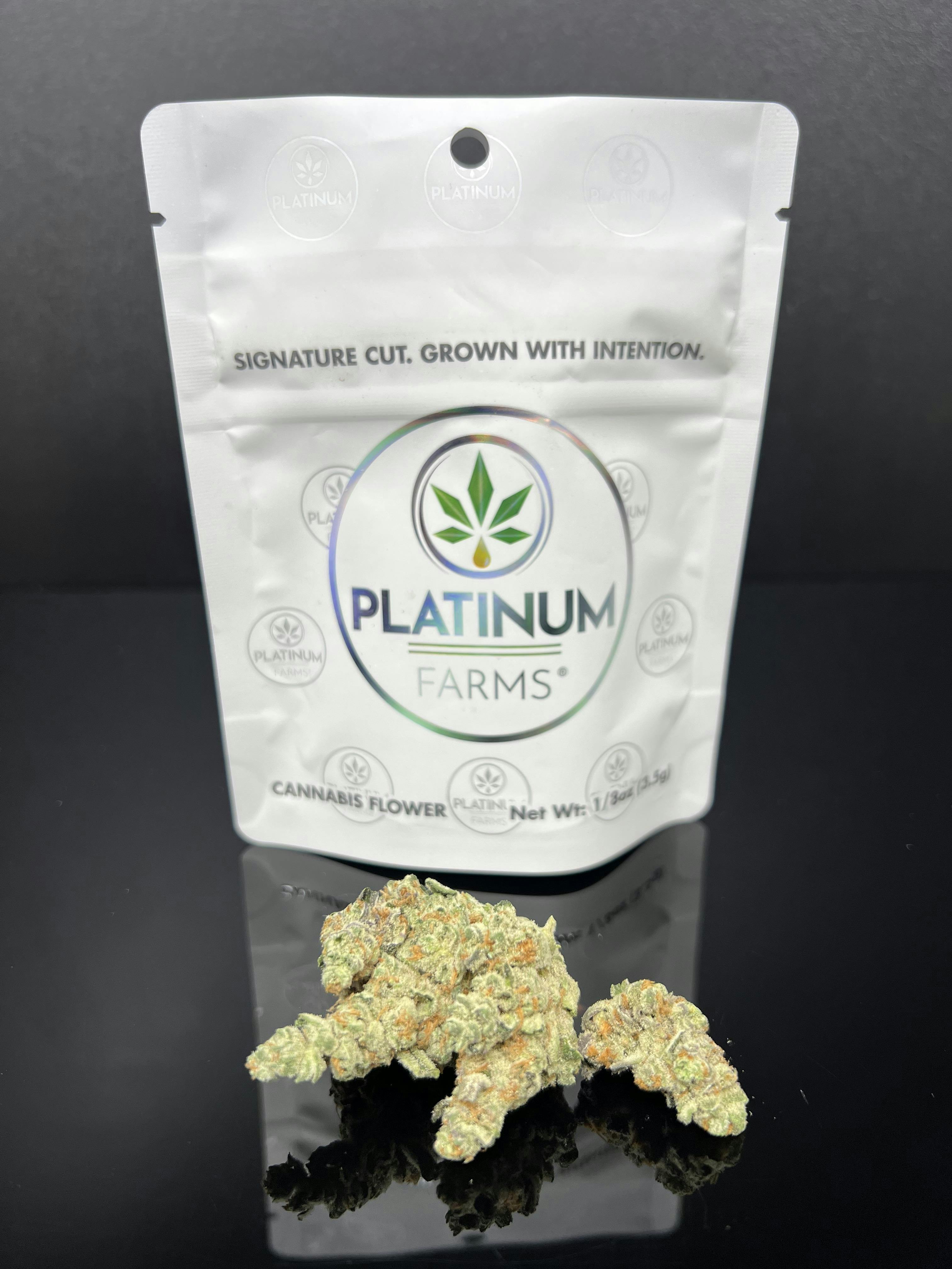 Platinum Farms - Flower - Kush Mintz (28.23%) - 3.5g (H) - 1