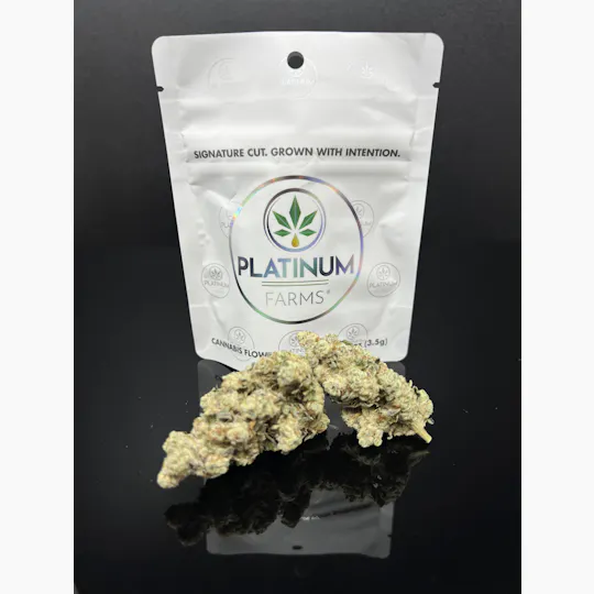 Platinum Farms - Flower - Gastronaut (25.69%) - 7g (I) - 1