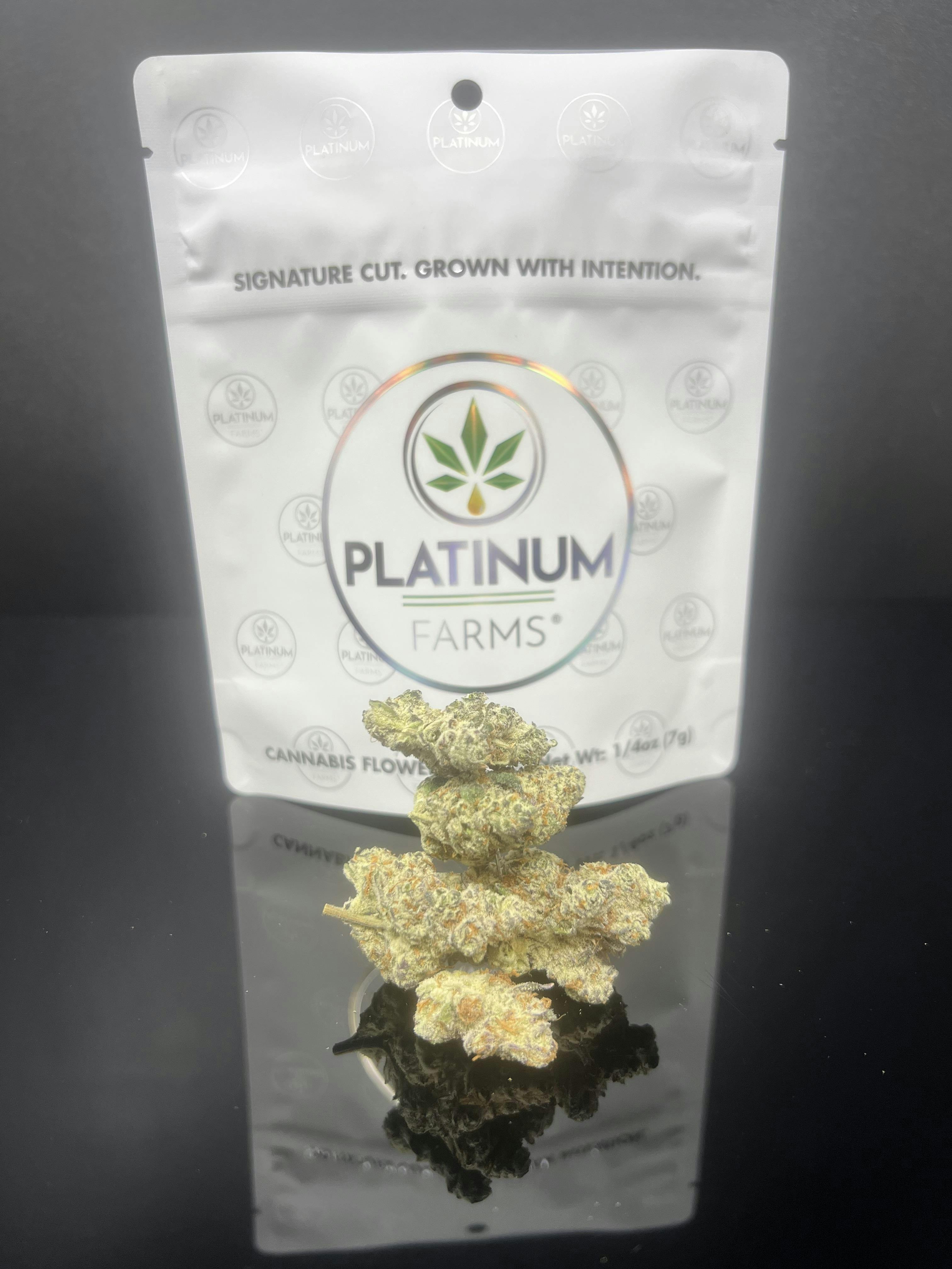 Platinum Farms - Flower - Dantes Inferno #6 (27.34%) - 3.5g (I) - 1