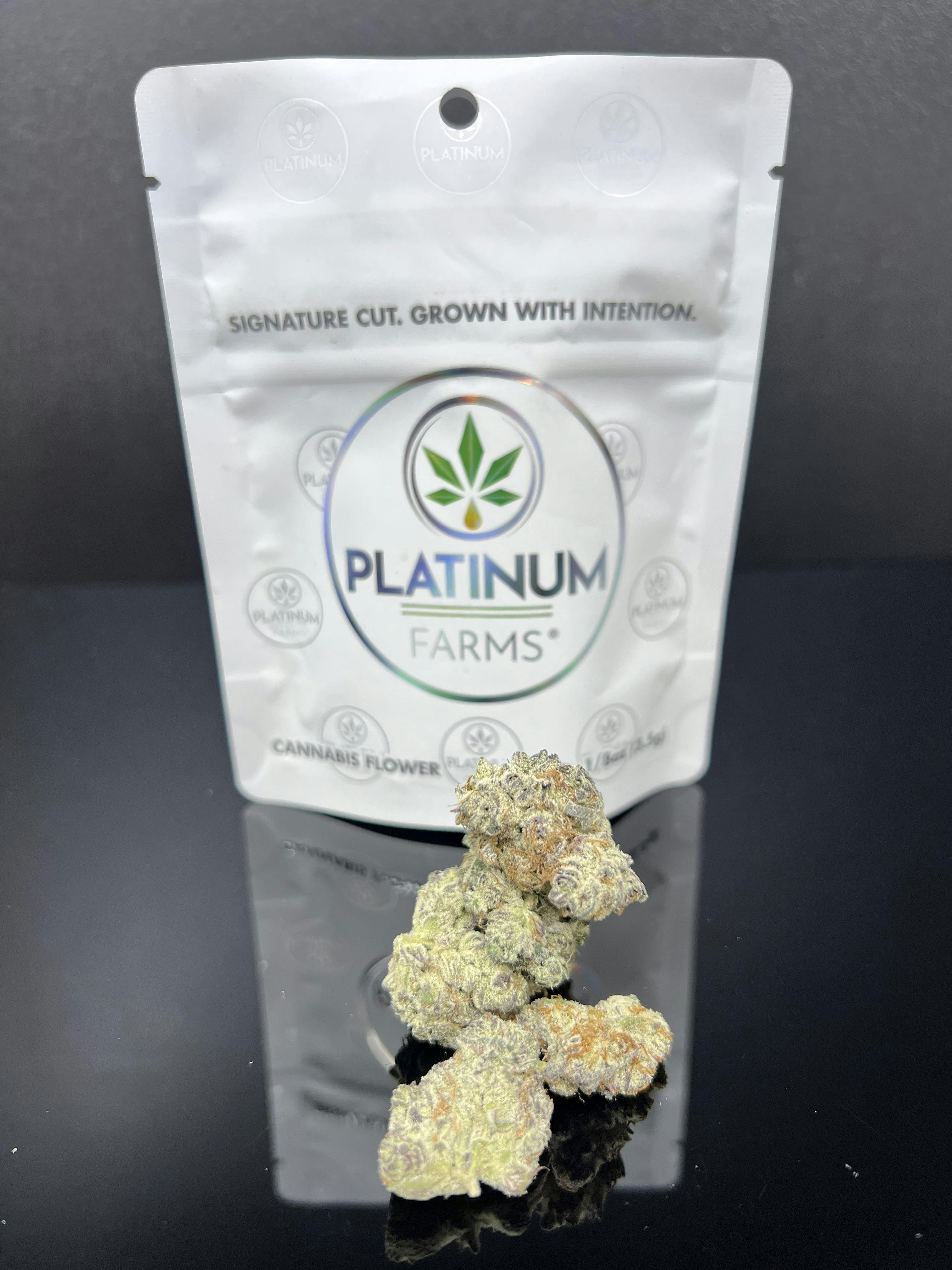 Platinum Farms - Flower - White Inferno (31.95%) - 3.5g (I) - 1