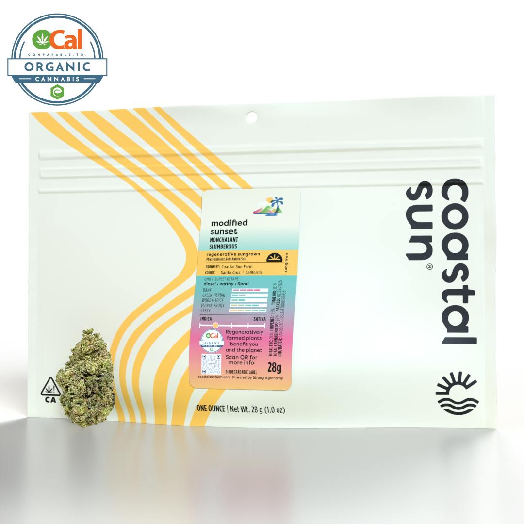 Coastal Sun - Modified Sunset Sungrown Flower 28g - 1