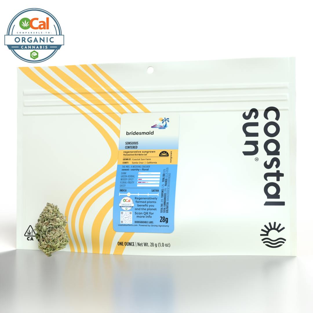 Coastal Sun - Bridesmaid Sungrown Flower 28g - 1