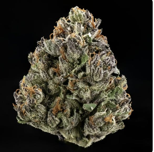 Casa Flor - Casa Flor | Strawberry Dulce | Big Buds | 7G - 1