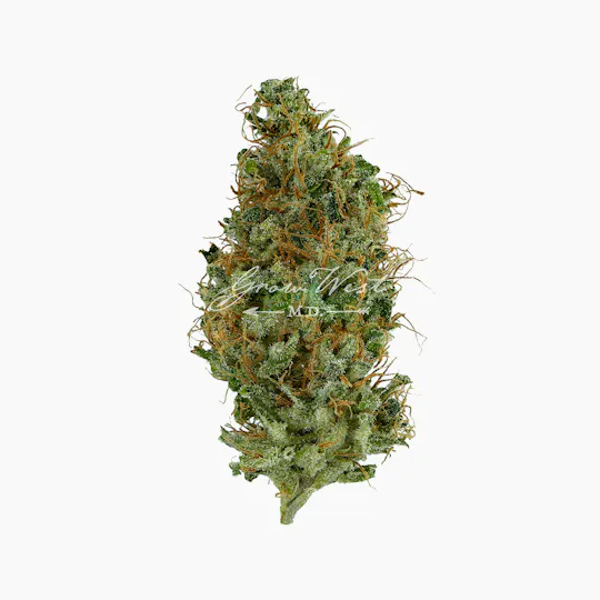 Grow West Cannabis Company - Afterburner | Reserve | Hand-Trimmed Flower | 7g - 1