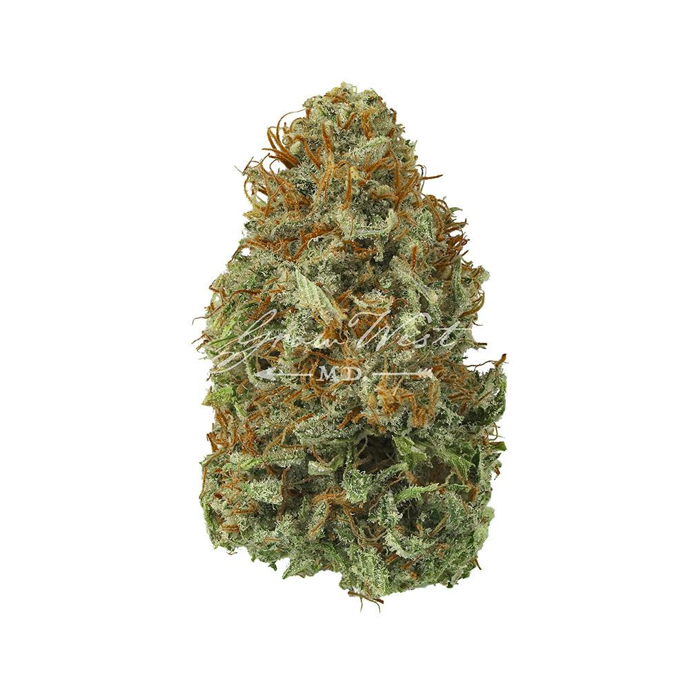 Grow West Cannabis Company - Angus | Reserve | Hand-Trimmed Flower | 7g - 1