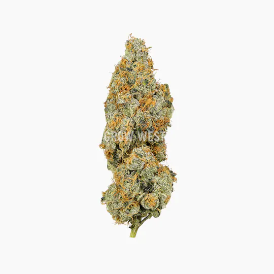 Grow West Cannabis Company - Black Maple | Reserve | Hand-Trimmed Flower | 7g - 1