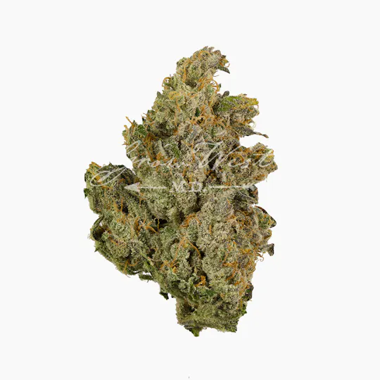Grow West Cannabis Company - Bubblegum Cake | Reserve | Hand-Trimmed Flower | 7g - 1