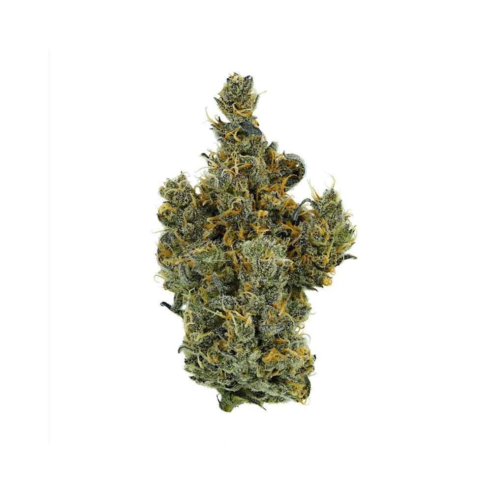 Grow West Cannabis Company - Blu Christmas | Reserve | Hand-Trimmed Flower | 3.5g - 1