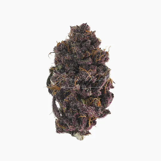 Grow West Cannabis Company - Buckeye Purple | Reserve | Hand-Trimmed Flower | 7g - 1