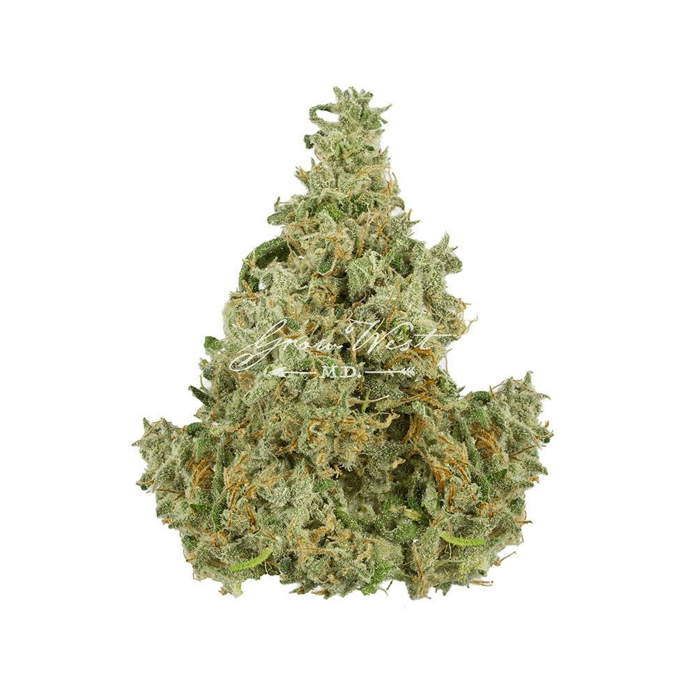 Grow West Cannabis Company - Buckshot | Reserve | Hand Trimmed Flower | 7g - 1