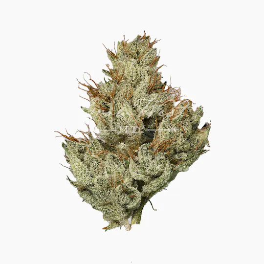 Grow West Cannabis Company - Chem 91 x Aliendawg Cherry | Reserve | Hand-Trimmed Flower | 7g - 1