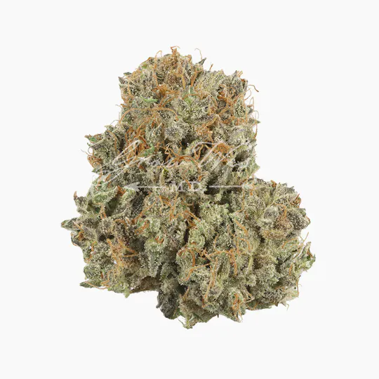 Grow West Cannabis Company - Chocolate Kush | Reserve | Hand-Trimmed | 7g - 1