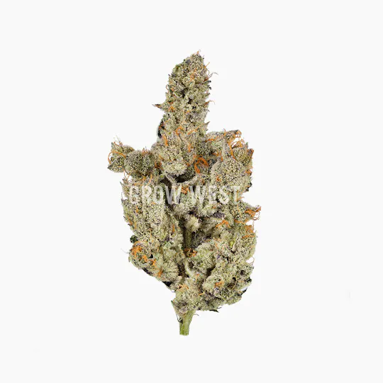 Grow West Cannabis Company - Dog Walker | Reserve | Hand-Trimmed Flower | 7g - 1