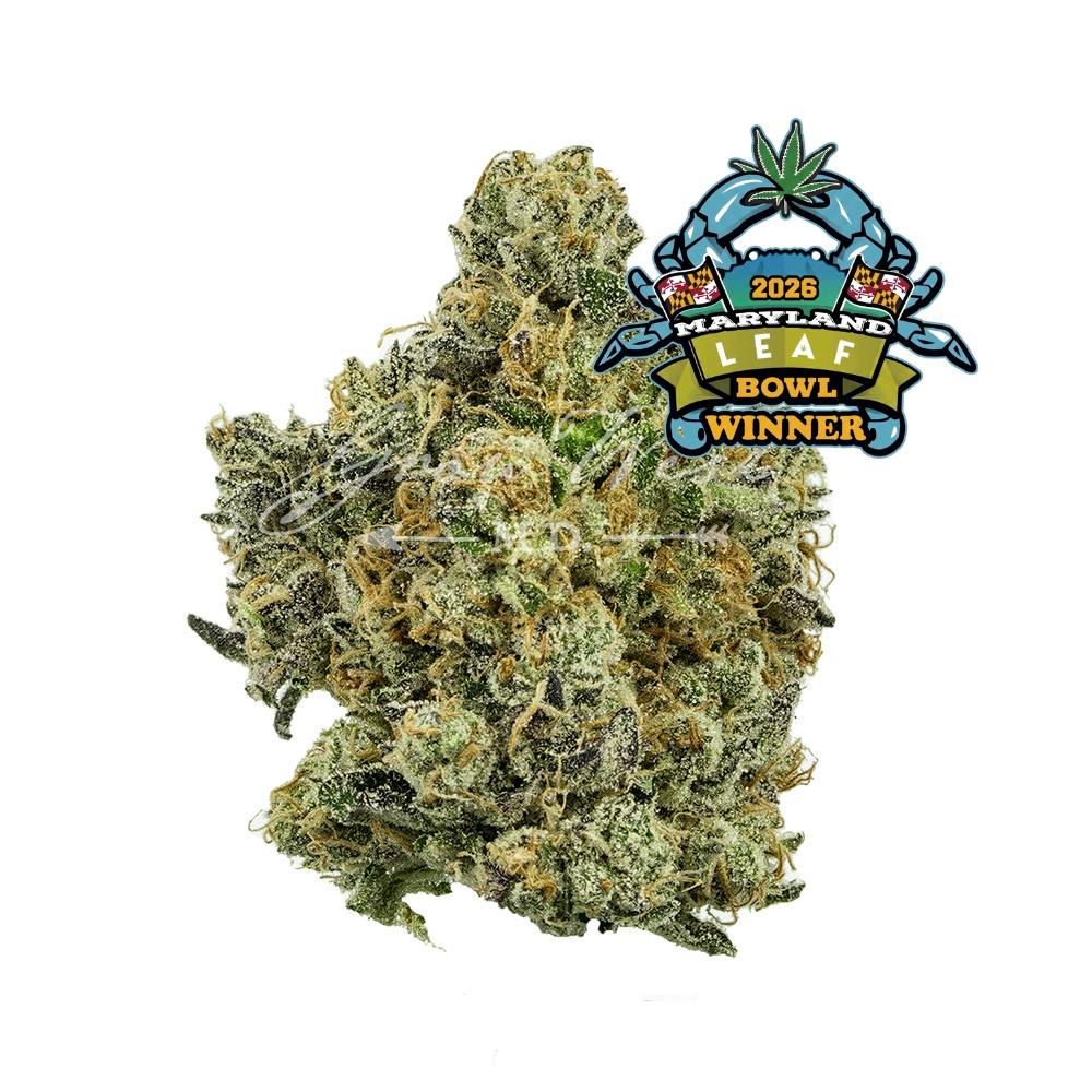 Grow West Cannabis Company - Electric Berry Bliss | Reserve | Hand-Trimmed Flower | 7g - 1