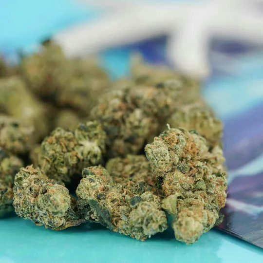 THC Design - THC Design | Crescendo | Big Buds | 7g - 1