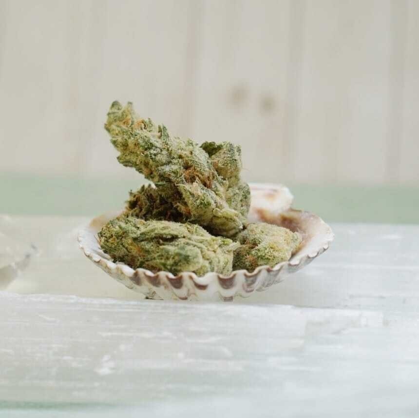 THC Design - THC Design | 24k | Big Buds | 1g - 1