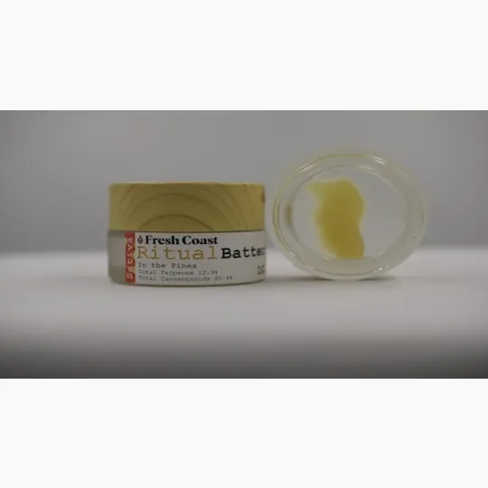 Fresh Coast - In the Pines | THC 66.7% | Ritual Batter | Sativa | 1G - 1