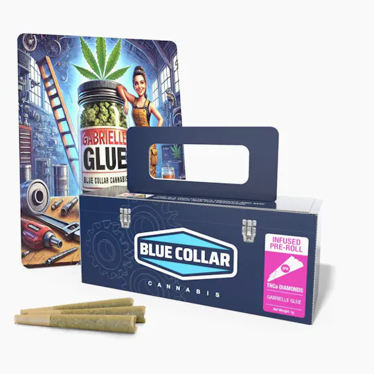 Blue Collar Cannabis - Blue Collar | Gabrielle Glue Infused Pre Rolls 3pk - .33g - 1