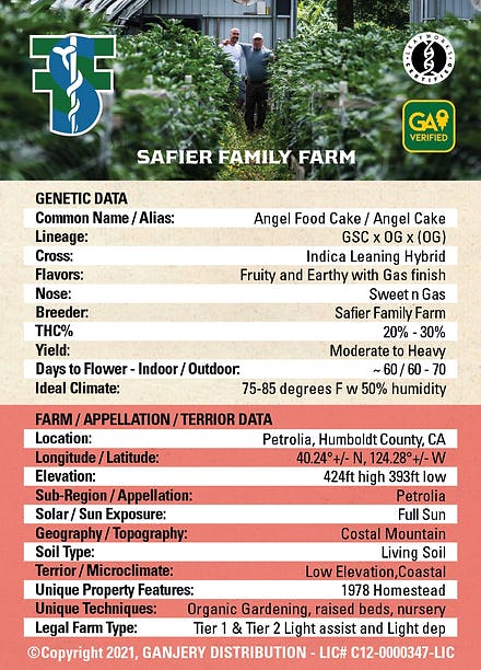 Fresh Strain - FRESH STRAIN - ANGEL FOOD CAKE - FLOWER - 5G - 1