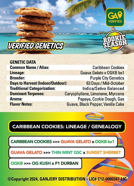 Fresh Strain - FRESH STRAIN - CARIBBEAN COOKIES - FLOWER - 5G - 1