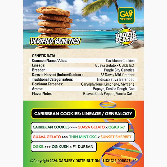 Fresh Strain - FRESH STRAIN - CARIBBEAN COOKIES - FLOWER - 5G - 1