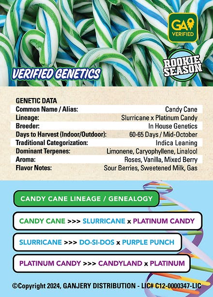 Fresh Strain - FRESH STRAIN - CANDY CANE - FLOWER - 3.5G - 1