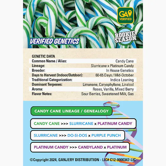 Fresh Strain - FRESH STRAIN - CANDY CANE - FLOWER - 3.5G - 1