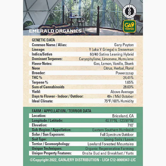 Fresh Strain - FRESH STRAIN - GARY PAYTON - FLOWER - 5G - 1