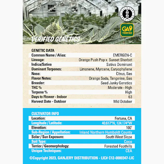 Fresh Strain - FRESH STRAIN - EMERGEN-C - FLOWER - 3.5G - 1