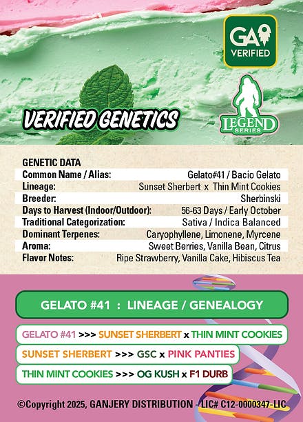 Fresh Strain - FRESH STRAIN - GELATO 41 - FLOWER - 5G - 1