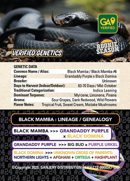 Fresh Strain - FRESH STRAIN - BLACK MAMBA - FLOWER - 5G - 1