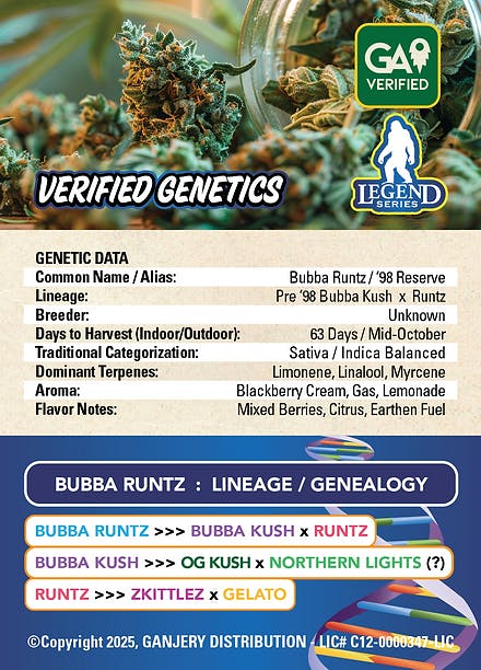 Fresh Strain - FRESH STRAIN - BUBBA RUNTZ - FLOWER - 3.5G - 1