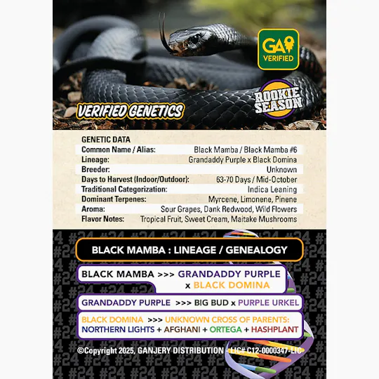 Fresh Strain - FRESH STRAIN - BLACK MAMBA - FLOWER - 3.5G - 1