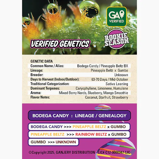 Fresh Strain - FRESH STRAIN - BODEGA CANDY - FLOWER - 3.5G - 1