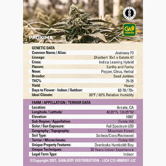 Fresh Strain - FRESH STRAIN - JEALOUSY F3 - FLOWER - 5G - 1