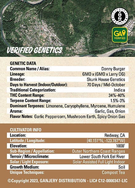 Fresh Strain - FRESH STRAIN - DONNY BURGER - FLOWER - 3.5G - 1