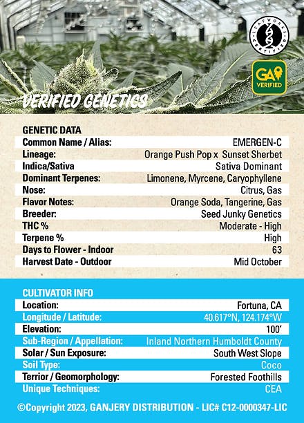 Fresh Strain - FRESH STRAIN - EMERGEN-C - FLOWER - 5G - 1